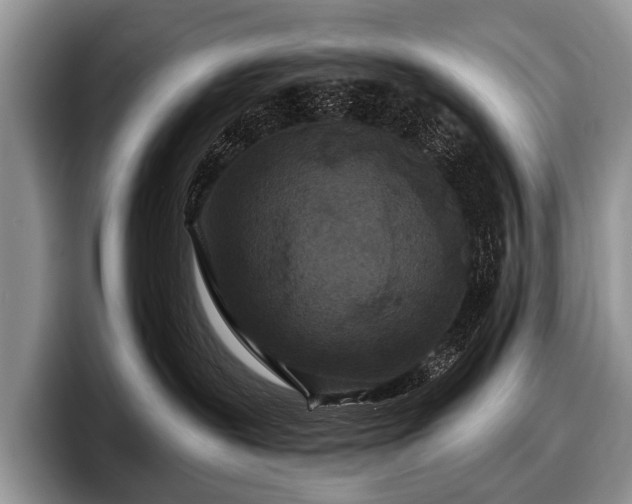 X0000097890239200803211402