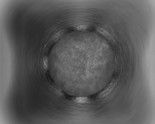 X0000097890240200803211402