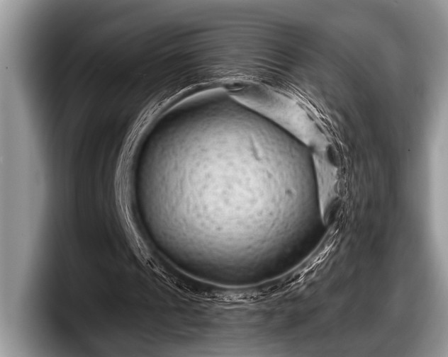 X0000097890241200803211401