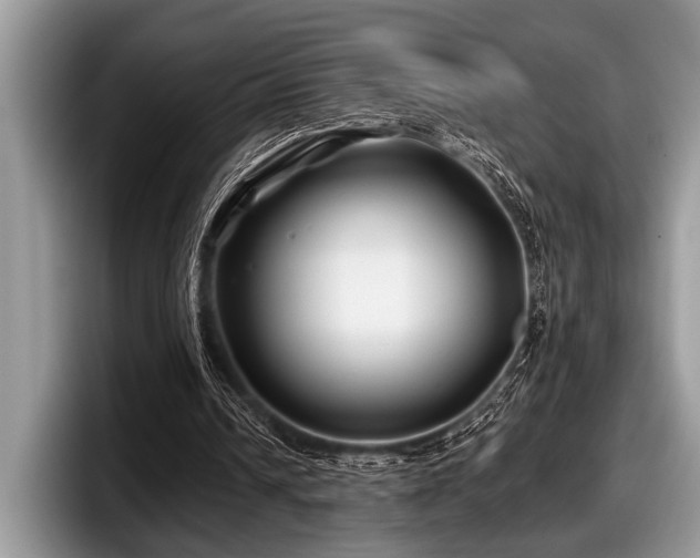 X0000097890242200803211401