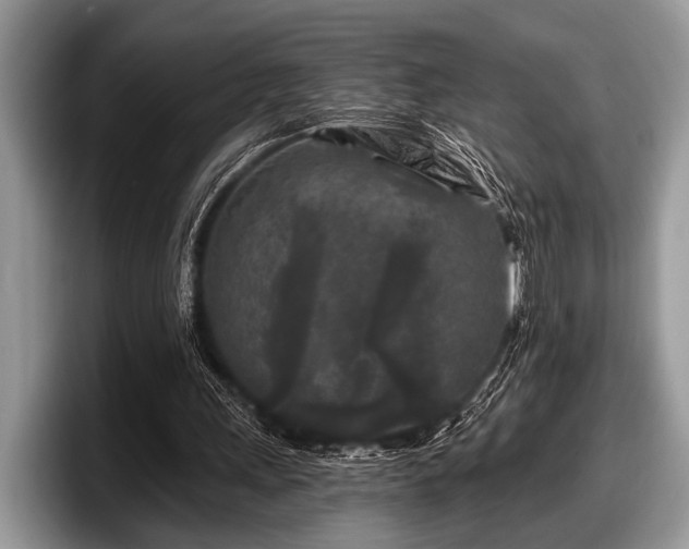 X0000097890243200803211401