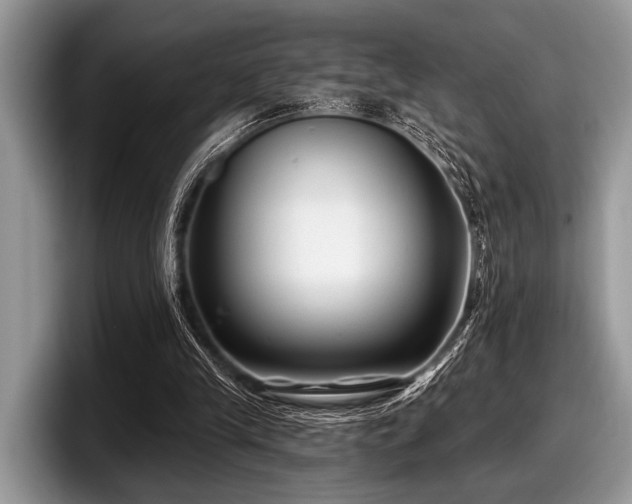 X0000097890245200803211401