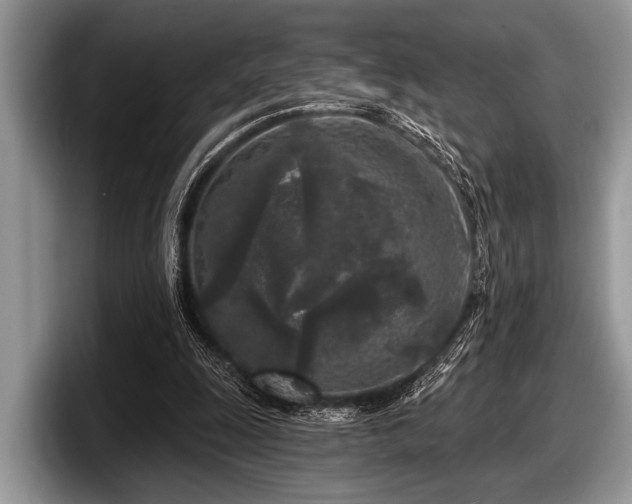 X0000097890247200803211401