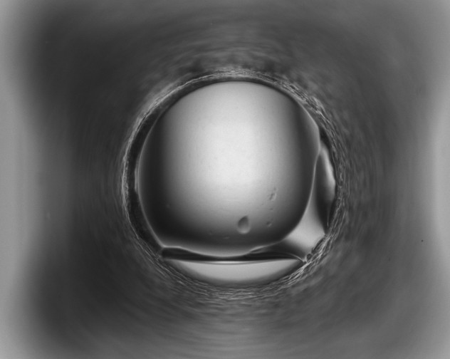 X0000097890248200803211401