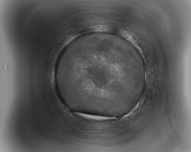 X0000097890249200803211401