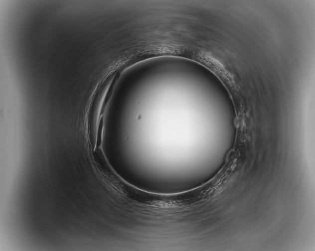 X0000097890250200803211401