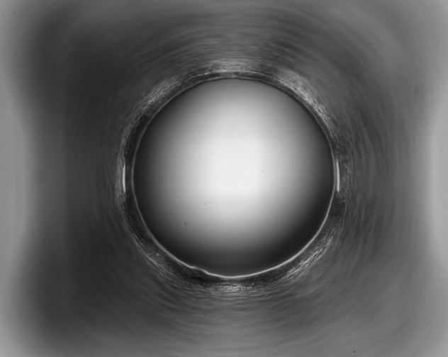 X0000097890253200803211401