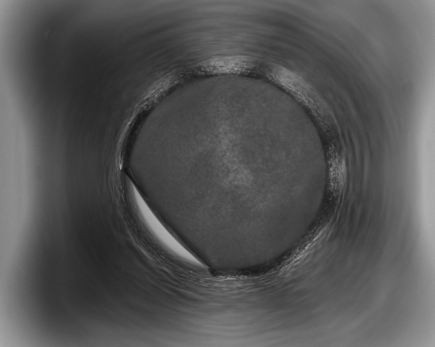 X0000097890254200803211401