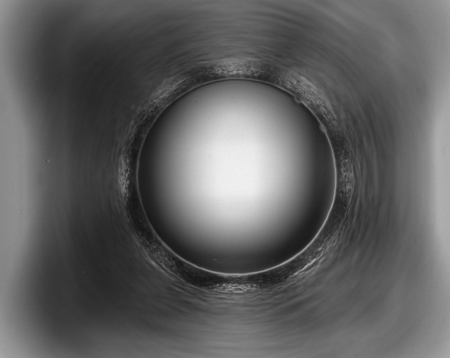 X0000097890255200803211401