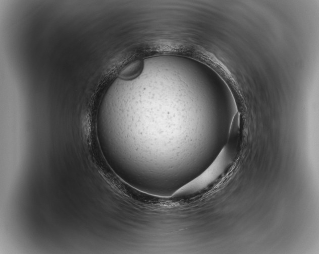 X0000097890257200803211401