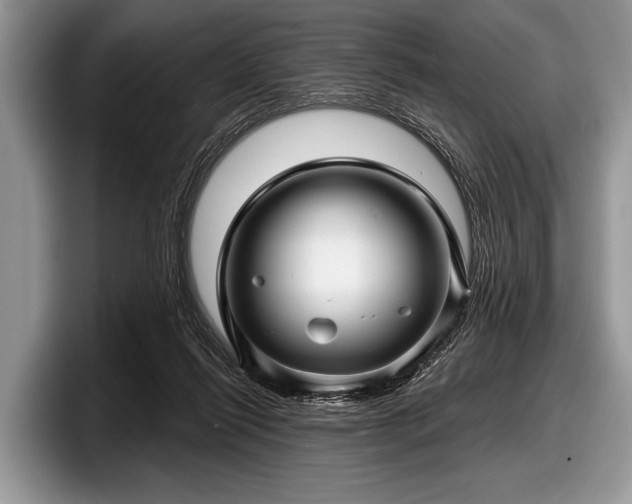 X0000097890262200803211401