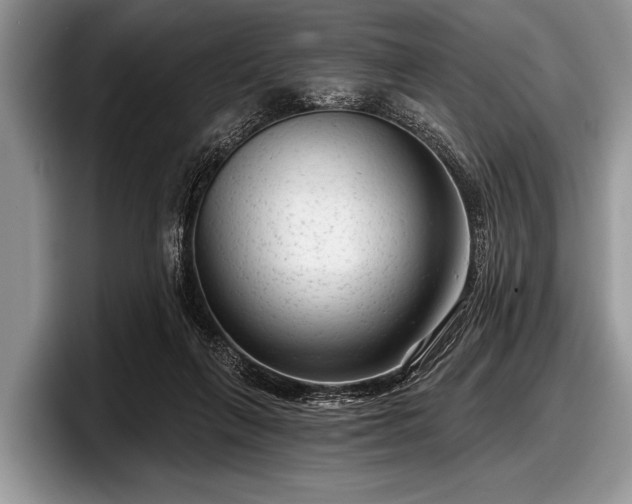 X0000097890263200803211401