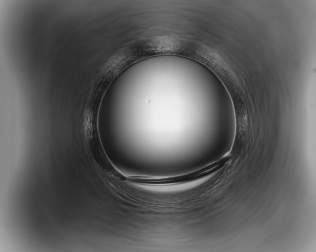 X0000097890264200803211401