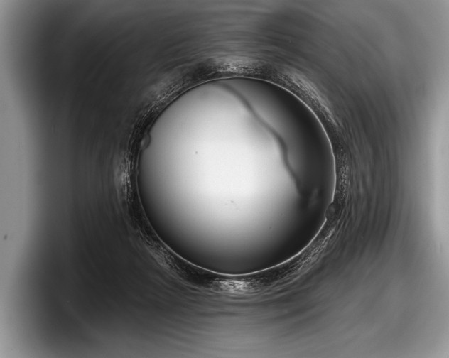 X0000097890265200803211401