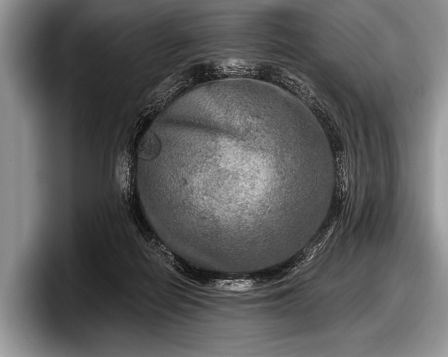 X0000097890266200803211401