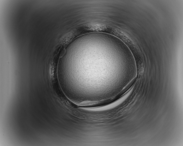 X0000097890268200803211401