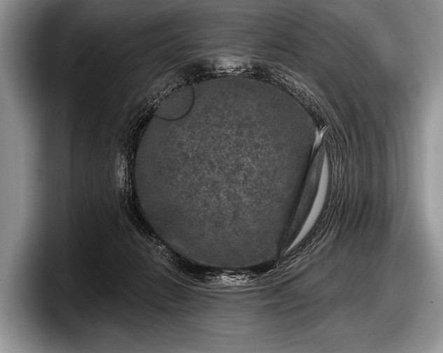 X0000097890270200803211401