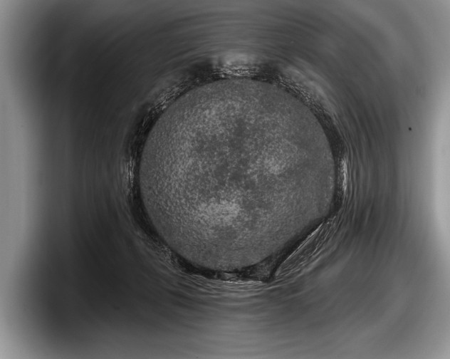 X0000097890271200803211401