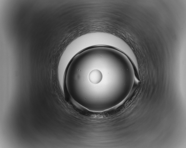 X0000097890272200803211401