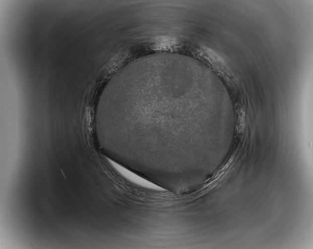 X0000097890273200803211401