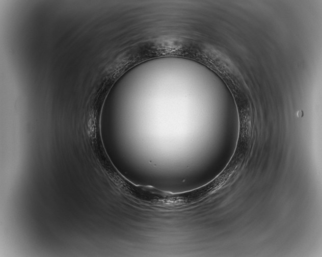 X0000097890274200803211401