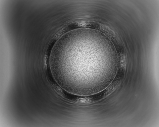 X0000097890275200803211401