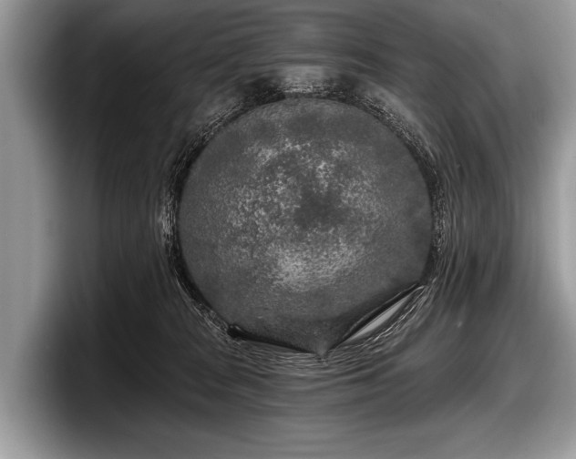 X0000097890277200803211401