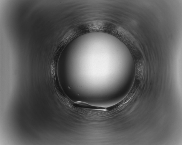 X0000097890282200803211401