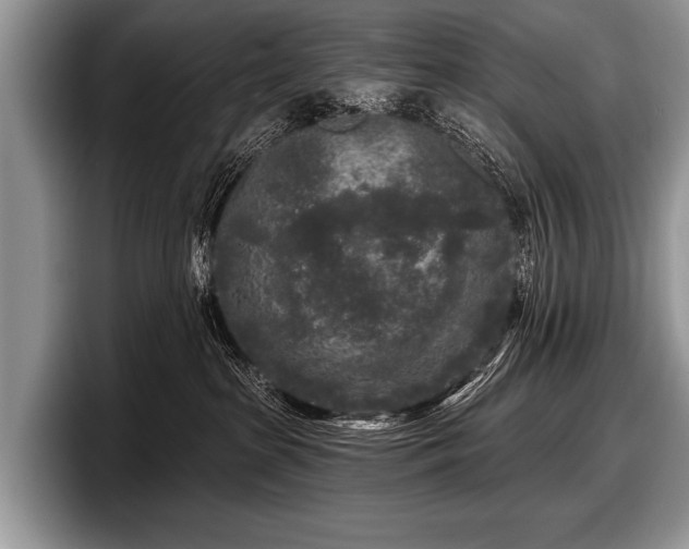 X0000097890285200803211402