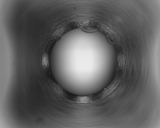 X0000097890287200803211402