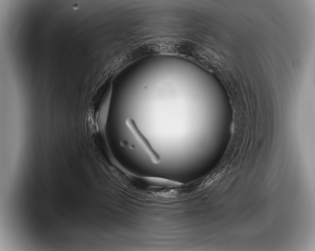 X0000097890288200803211402