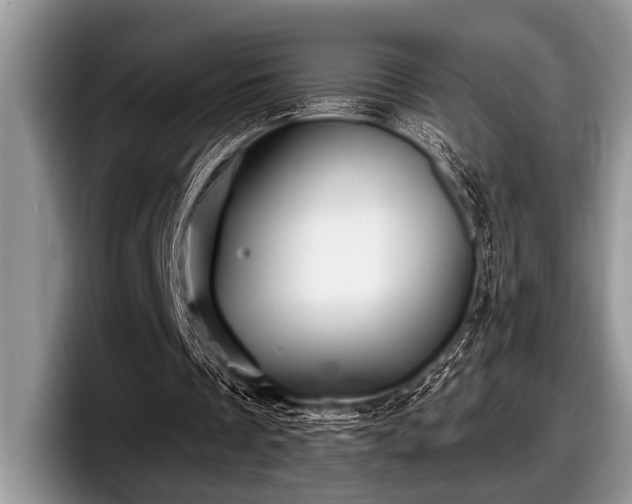 X0000097890289200803211401