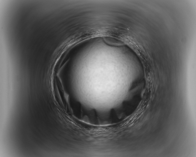 X0000097890290200803211401