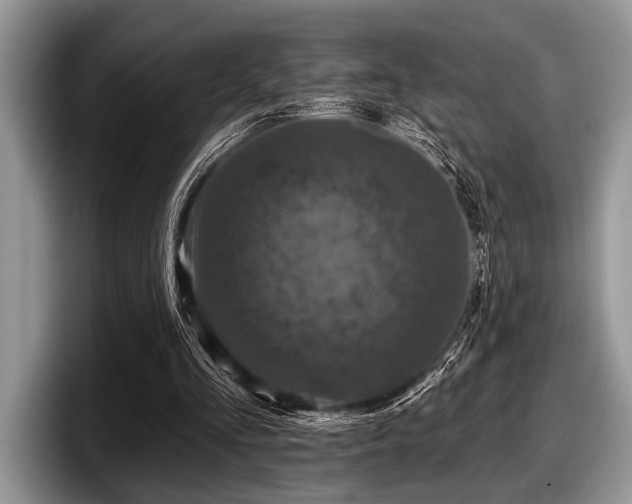 X0000097890293200803211401