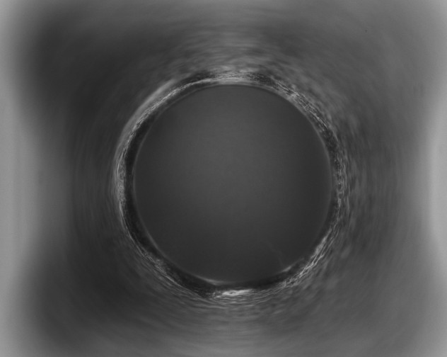 X0000097890295200803211401