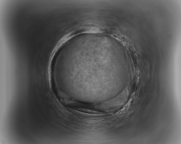 X0000097890296200803211401