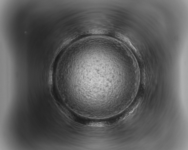 X0000097890299200803211401