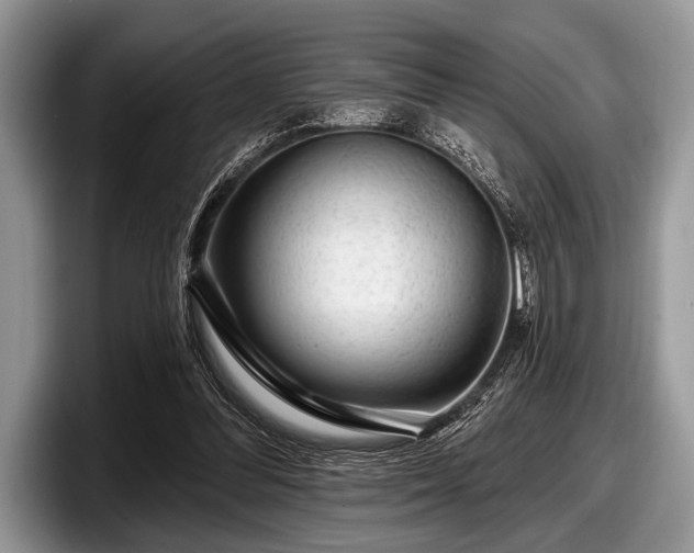 X0000097890300200803211401