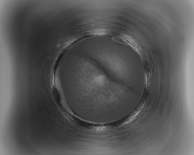 X0000097890301200803211401