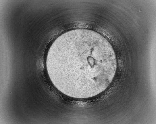 X0000097890302200803211401