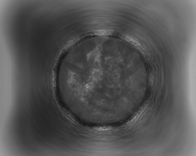 X0000097890303200803211401