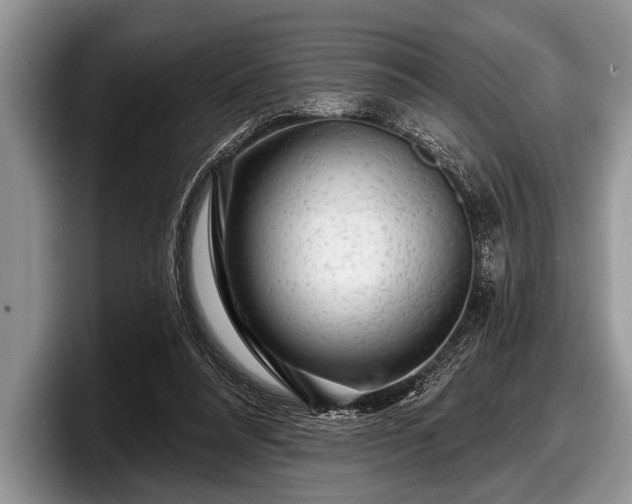 X0000097890304200803211401