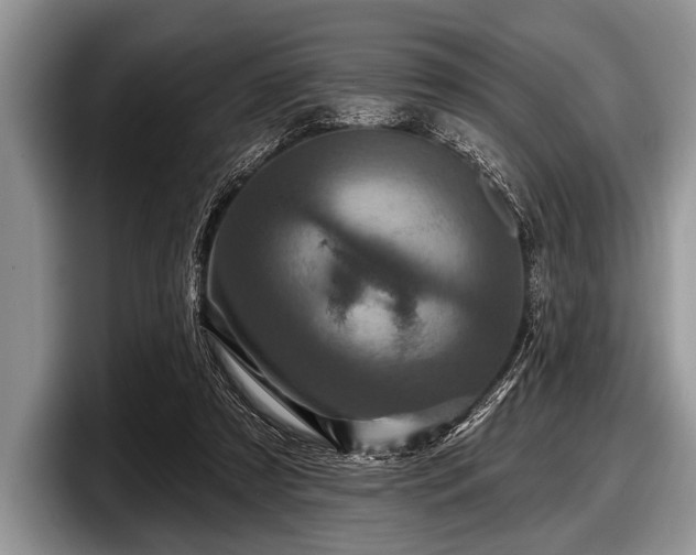 X0000097890305200803211401