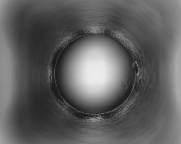 X0000097890306200803211401