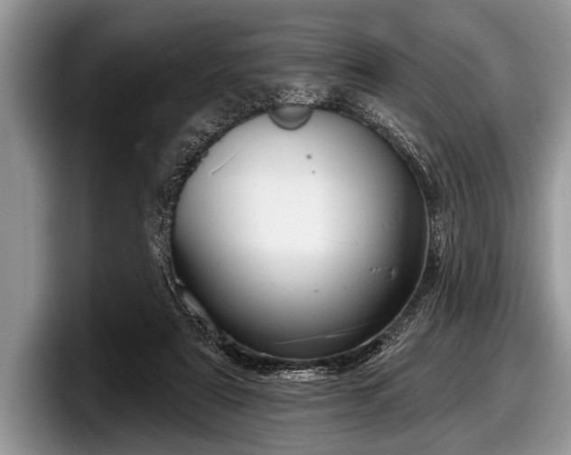 X0000097890307200803211401