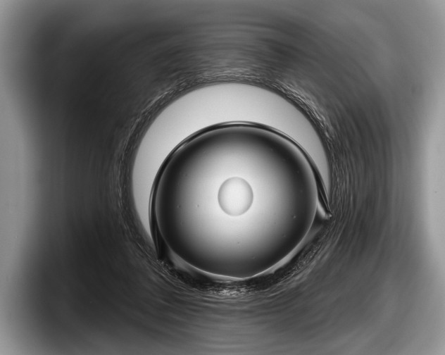 X0000097890308200803211401