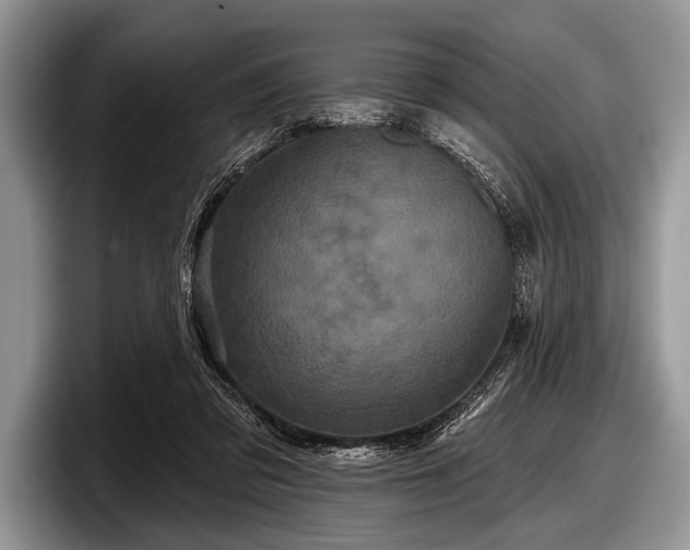 X0000097890309200803211401