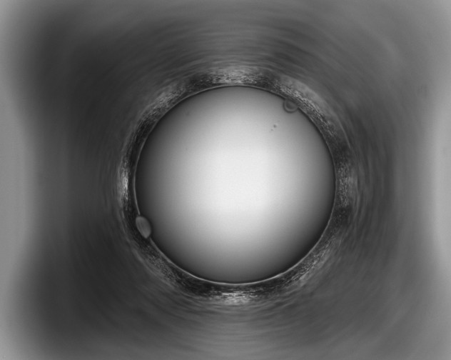 X0000097890310200803211401