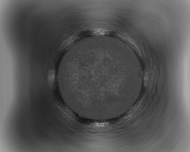 X0000097890314200803211401