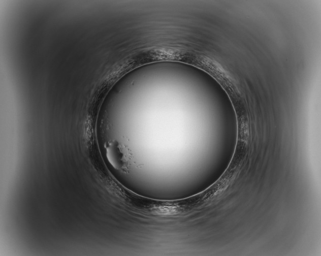 X0000097890318200803211401